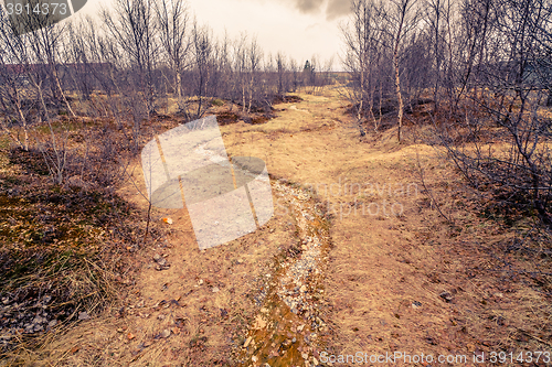 Image of Dry river stream with pebbles