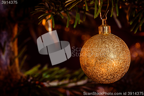 Image of Golden Xmas bauble hanging on a tree