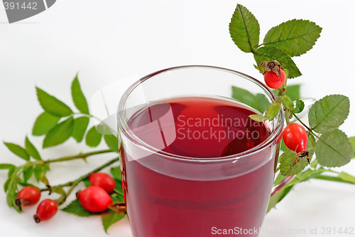 Image of Tea of Rosehips