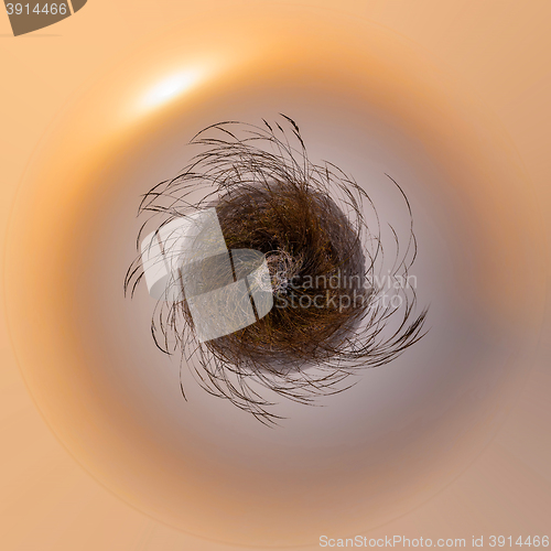 Image of Planet of Misty morning sunrise over grass