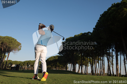 Image of golf player