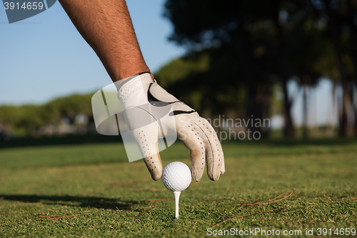 Image of close up of golf players hand placing ball on tee