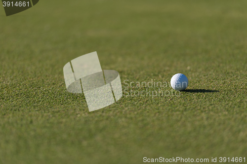 Image of golf ball on grass