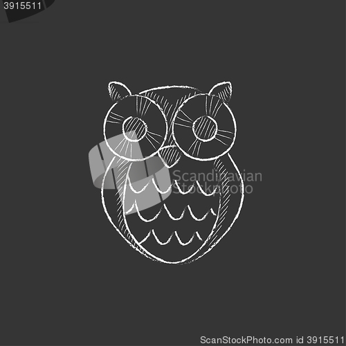 Image of Owl. Drawn in chalk icon.