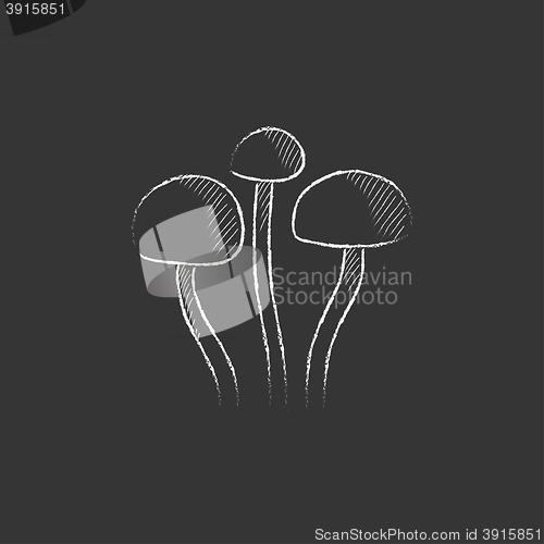 Image of Mushroom. Drawn in chalk icon.