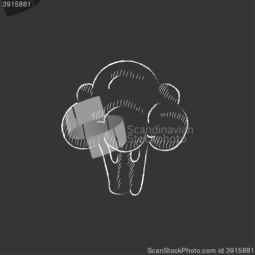 Image of Broccoli. Drawn in chalk icon.