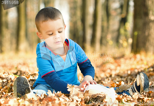 Image of Little boy is reading book