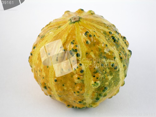 Image of Gourd