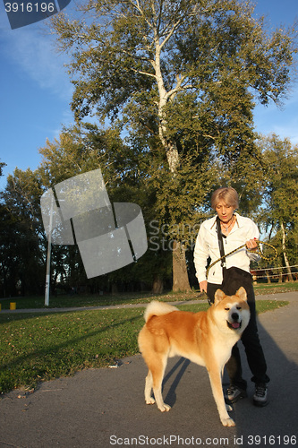 Image of Lady with her dog