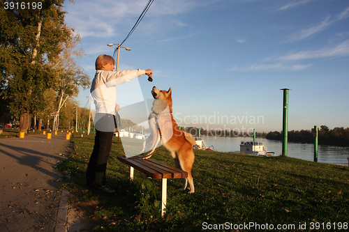 Image of Landy palying with dog