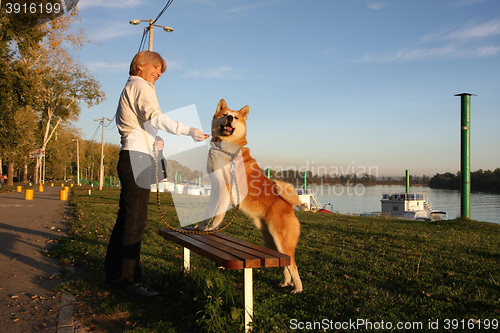 Image of Landy palying with dog