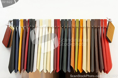Image of Leather samples 2