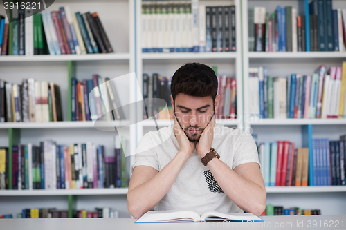 Image of student study  in school library