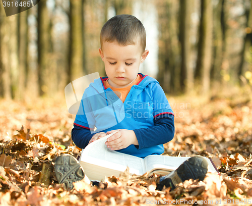 Image of Little boy is reading book