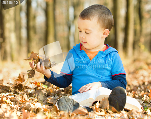 Image of Little boy is reading book