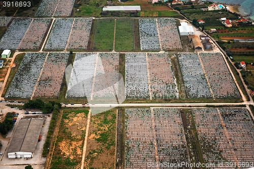 Image of Agriculture from the sky