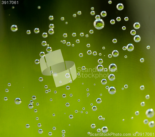 Image of green abstract background with water drops