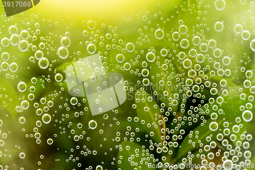 Image of green abstract background with water drops