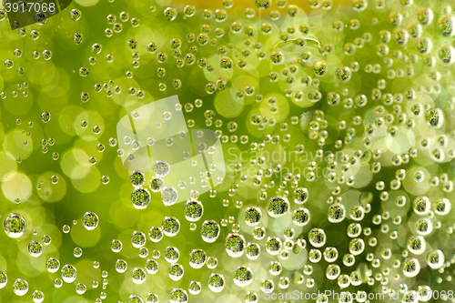 Image of green abstract background with water drops