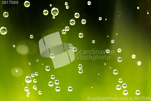 Image of green abstract background with water drops