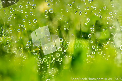 Image of green abstract background with water drops