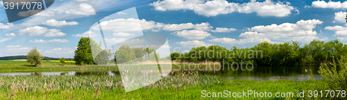 Image of Beautiful summer rural landscape