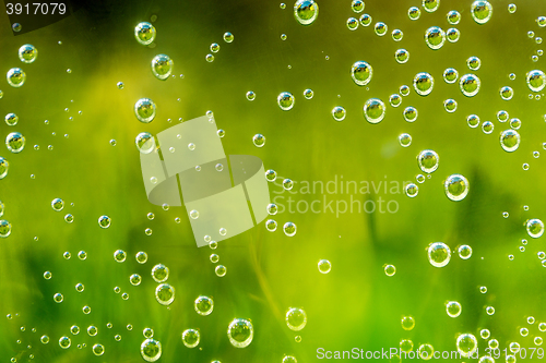 Image of green abstract background with water drops