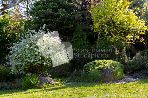 Image of Beautiful spring garden design