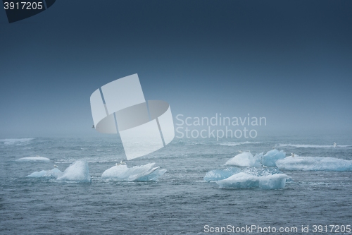 Image of Blue icebergs closeup