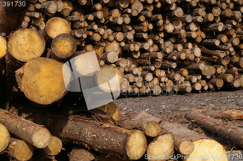 Image of Lumber