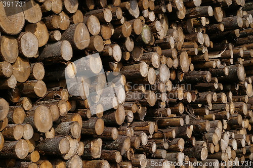 Image of Log pile