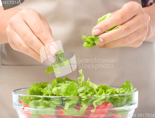 Image of Cook is tearing lettuce while making salad