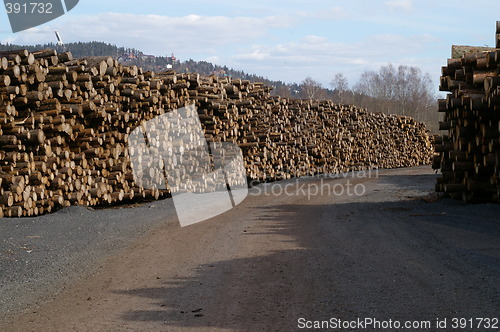 Image of Timber