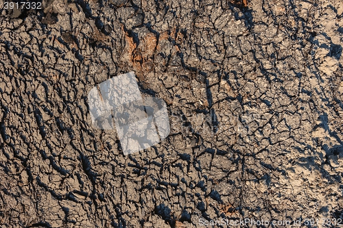 Image of Dry soil closeup before rain