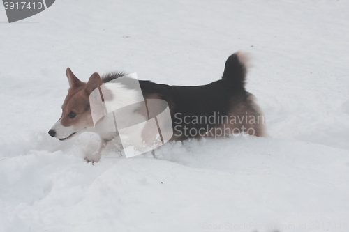 Image of running in snow