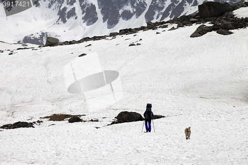 Image of Hiker and dog in snowy mountains at spring