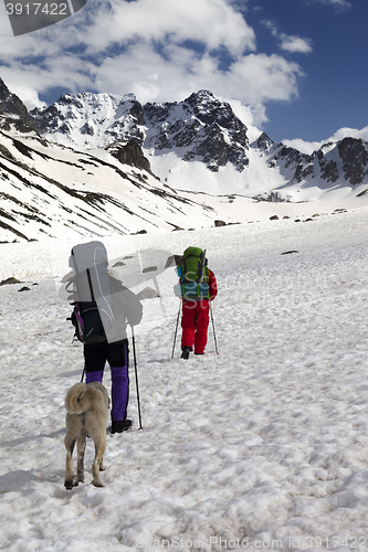 Image of Dog and two hikers in snowy mountains