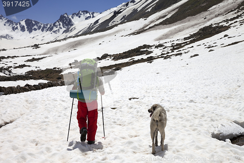 Image of Hiker with dog in snowy mountains at spring