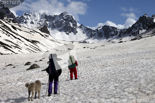 Image of Two hikers with dog in spring snowy mountains