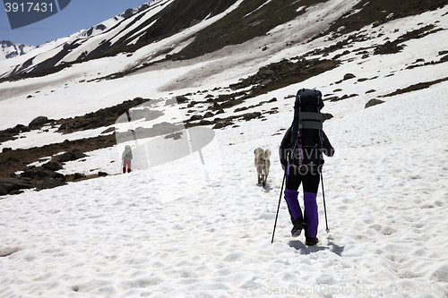 Image of Two hikers and dog in snowy mountains at spring