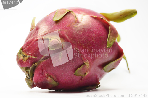 Image of Dragon fruit or pitaya