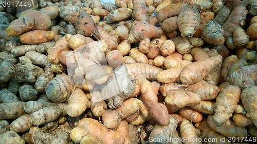 Image of Freshly harvested turmeric roots