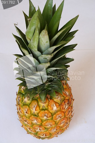 Image of Pineapple