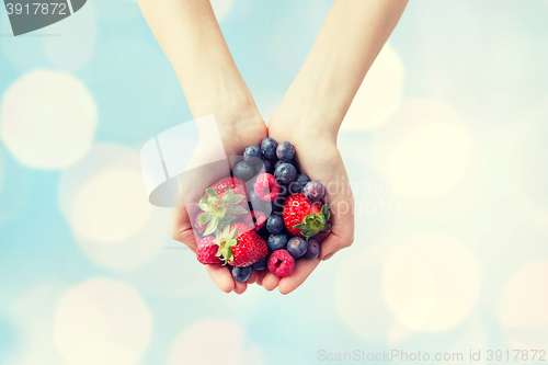 Image of close up of woman hands holding berries