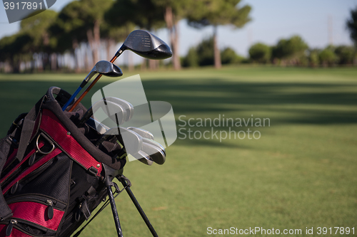 Image of close up golf bag on course