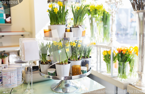 Image of narcissus flowers on stand at flower shop