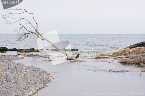 Image of  Sukko Mouth of the river where it flows into the Black Sea