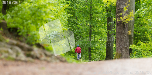 Image of Cyclist Riding Bycicle on Forest Trail.