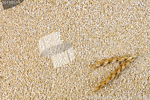 Image of Bran small  wheat with spikelet