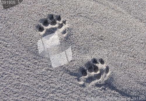 Image of Footprint